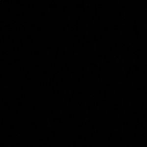 Meet your Posher, Yadira